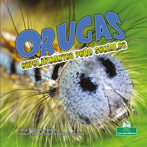 Orugas Espeluznantes Pero Geniales (Creepy But Cool Caterpillars) (Paperback)