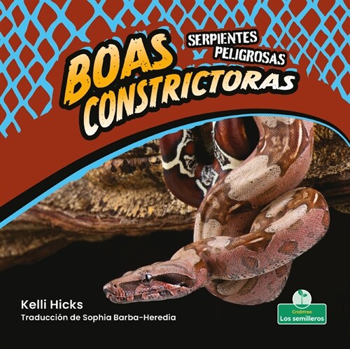 Boas Constrictoras (Boa Constrictors) (Library Binding)