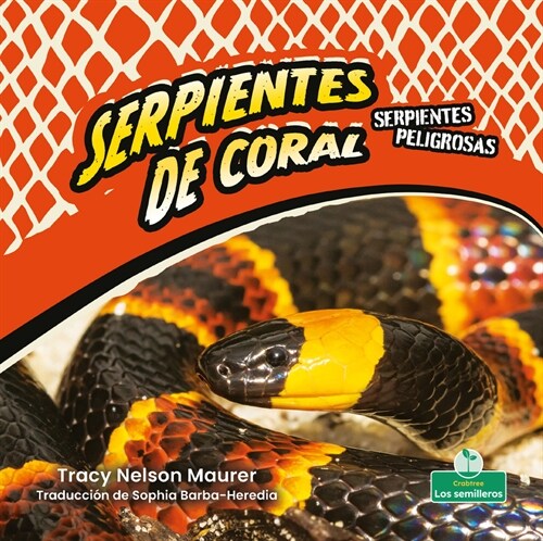 Serpientes de Coral (Coral Snakes) (Paperback)