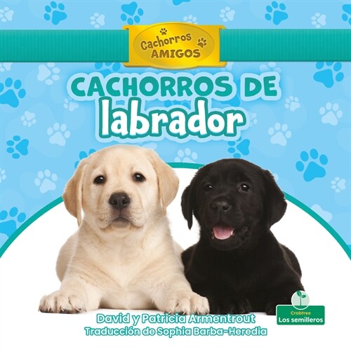 Cachorros de Labrador (Labrador Retriever Puppies) (Library Binding)