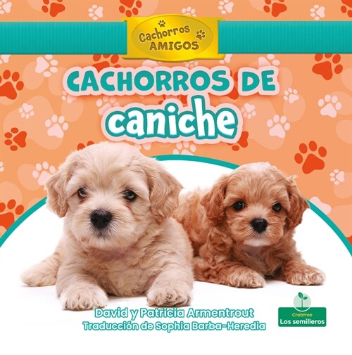 Cachorros de Caniche (Poodle Puppies) (Library Binding)