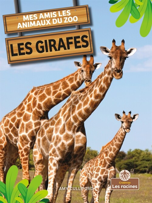 Les Girafes (Giraffes) (Paperback)