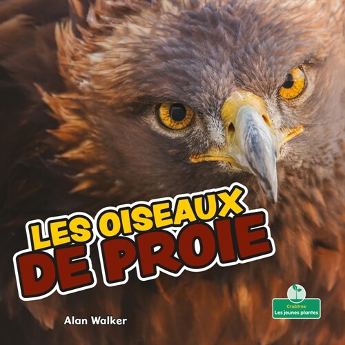 Les Oiseaux de Proie (Birds of Prey) (Paperback)