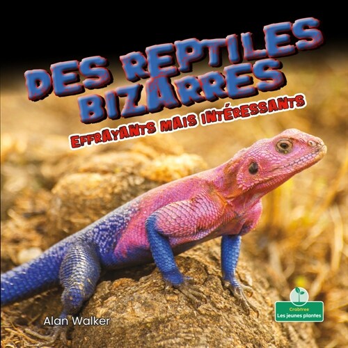 Des Reptiles Bizarres Effrayants Mais Int?essants (Creepy But Cool Weird Reptiles) (Paperback)