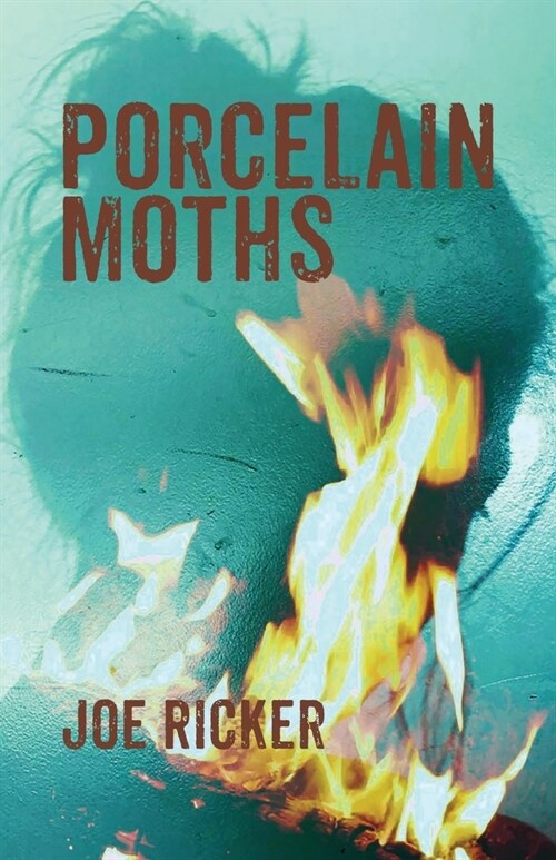 Porcelain Moths (Paperback)