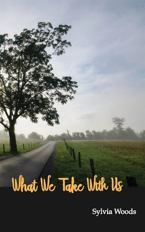 What We Take With Us (Paperback)