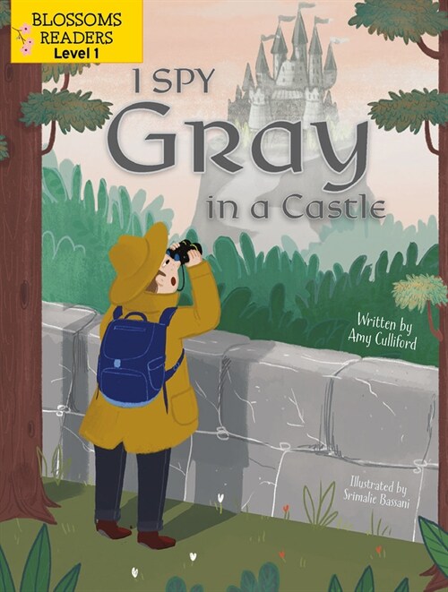 I Spy Gray in a Castle (Paperback)