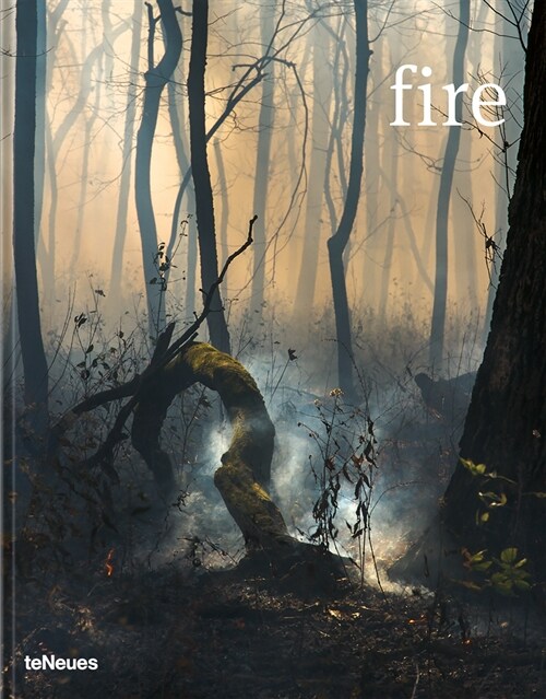 Fire (Hardcover)