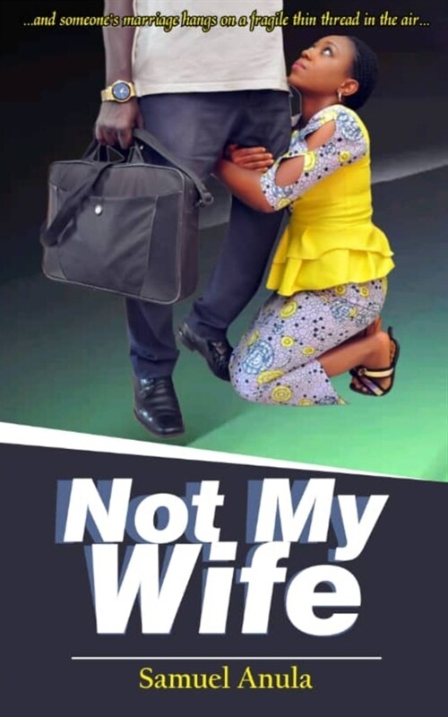 Not My Wife (Paperback)