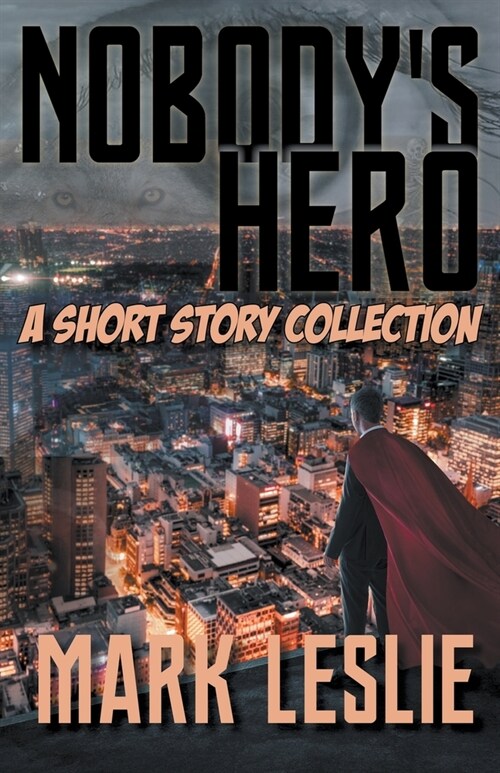 Nobodys Hero (Paperback)