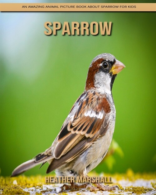 Sparrow: An Amazing Animal Picture Book about Sparrow for Kids (Paperback)