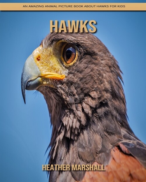 Hawks: An Amazing Animal Picture Book about Hawks for Kids (Paperback)