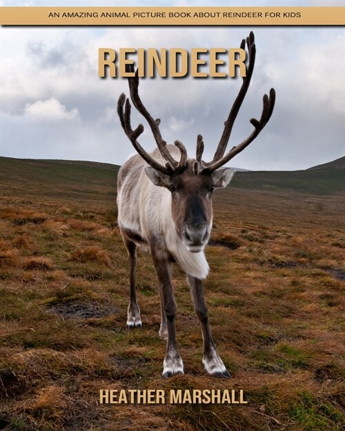 Reindeer: An Amazing Animal Picture Book about Reindeer for Kids (Paperback)