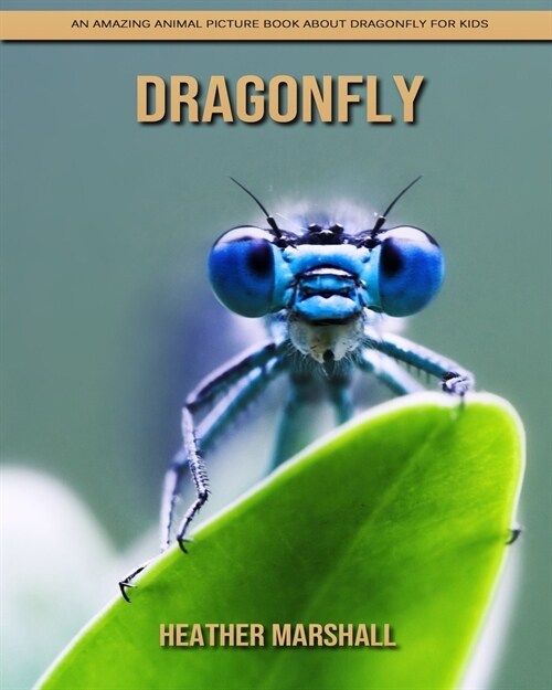 Dragonfly: An Amazing Animal Picture Book about Dragonfly for Kids (Paperback)