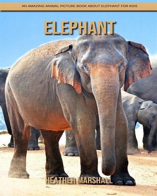 Elephant: An Amazing Animal Picture Book about Elephant for Kids (Paperback)