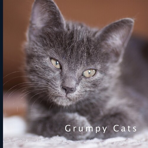 Grumpy Cats: 2021 - 2022 18 Month Calendar - Monthly Photo Calendar - July 2021 - December 2022 - Monthly Calendar with U.S./UK/ Ca (Paperback)