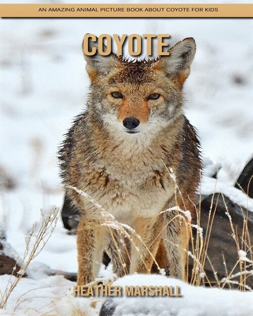 Coyote: An Amazing Animal Picture Book about Coyote for Kids (Paperback)