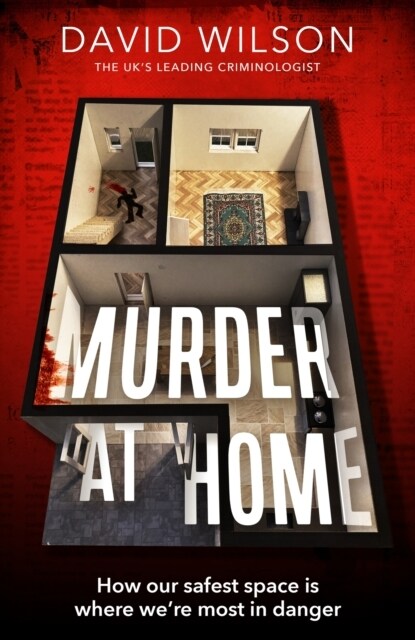 Murder at Home : how our safest space is where were most in danger (Paperback)