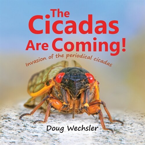 The Cicadas Are Coming!: Invasion of the Periodical Cicadas! (Paperback)