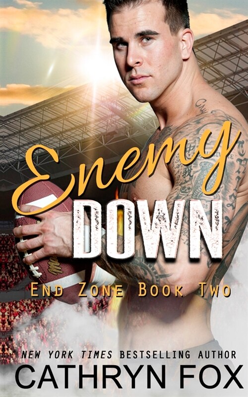 Enemy Down (Paperback)