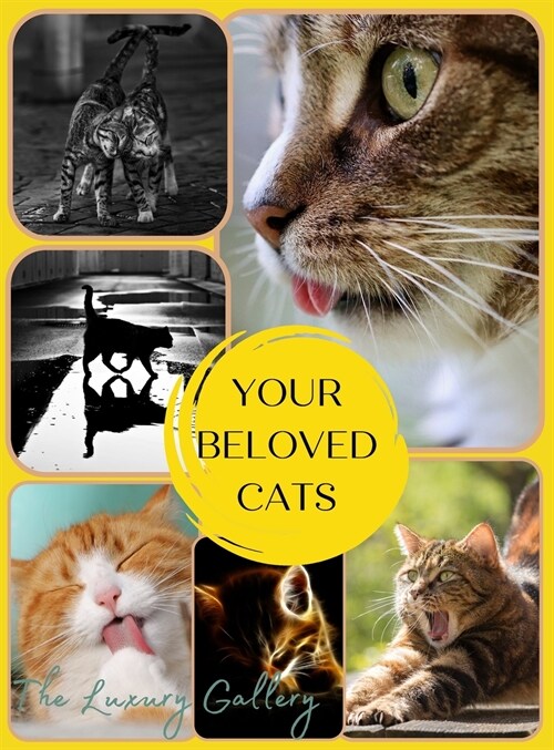 Your Beloved Cats: The Best Selection of 37 Cat Photos by Manhattans Top Photographers (Hardcover)