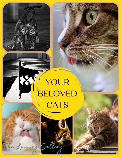 Your Beloved Cats: The Best Selection of 37 Cat Photos by Manhattans Top Photographers (Paperback)