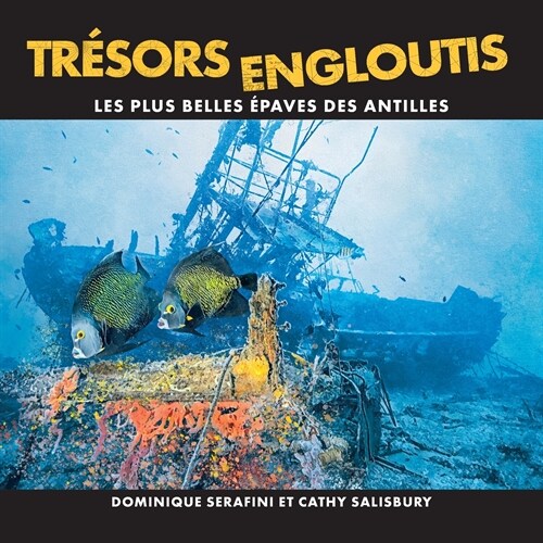 Tr?ors Engloutis: Les plus belles ?aves des Antilles (Paperback)