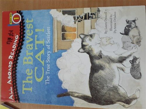 [중고] The Bravest Cat! (Paperback)