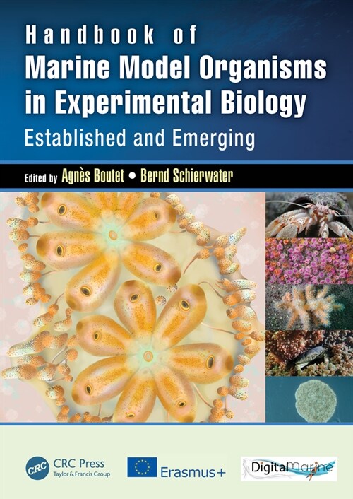 Handbook of Marine Model Organisms in Experimental Biology : Established and Emerging (Hardcover)