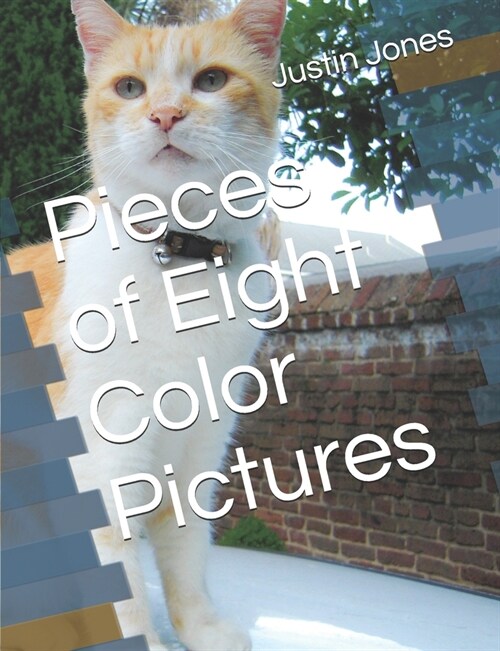 Pieces of Eight Color Pictures (Paperback)