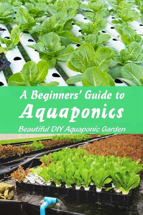A Beginners Guide to Aquaponics: Beautiful DIY Aquaponic Garden: Guide to Aquaponic Gardening (Paperback)