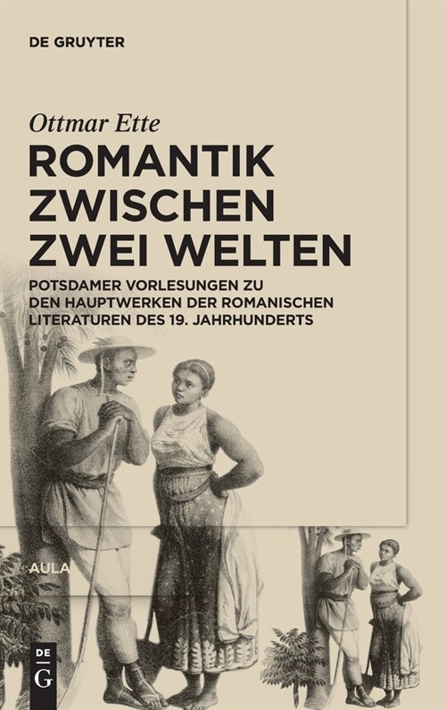 Romantik Zwischen Zwei Welten: Potsdamer Vorlesungen Zu Den Hauptwerken Der Romanischen Literaturen Des 19. Jahrhunderts (Hardcover)