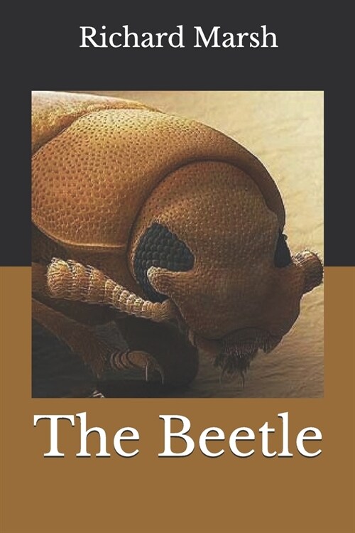 The Beetle (Paperback)