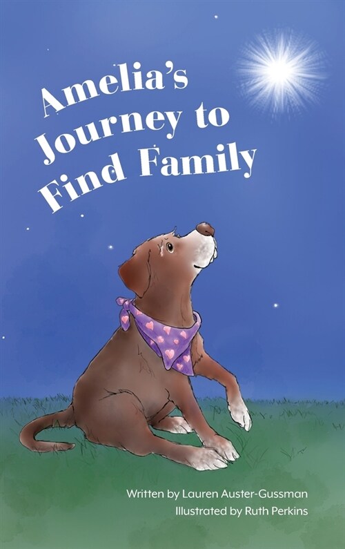 Amelias Journey to Find Family (Hardcover)