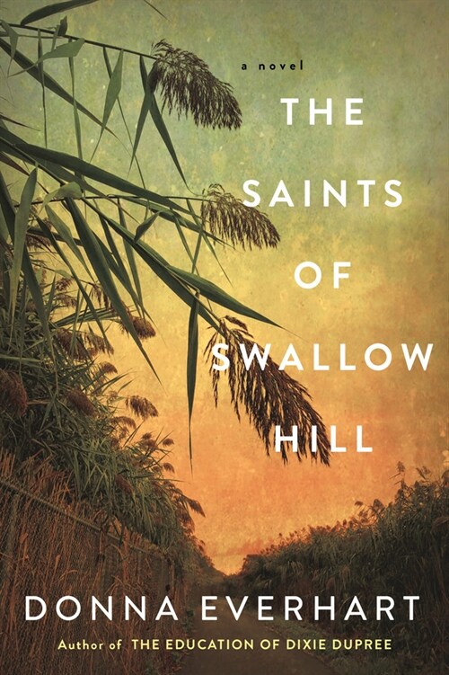 The Saints of Swallow Hill: A Fascinating Depression Era Historical Novel (Paperback)
