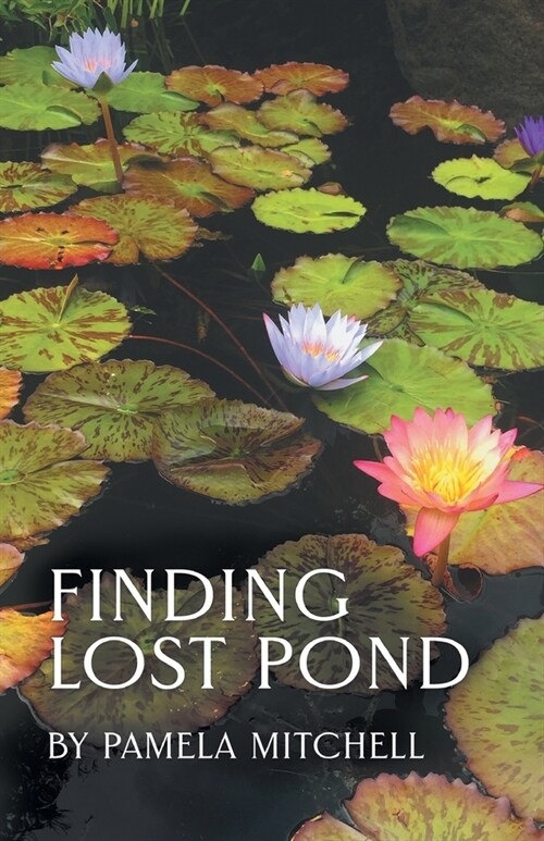 Finding Lost Pond (Paperback)