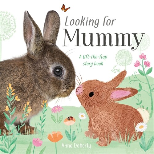 Looking for Mommy: A Lift-The-Flap Storybook (Board Books)