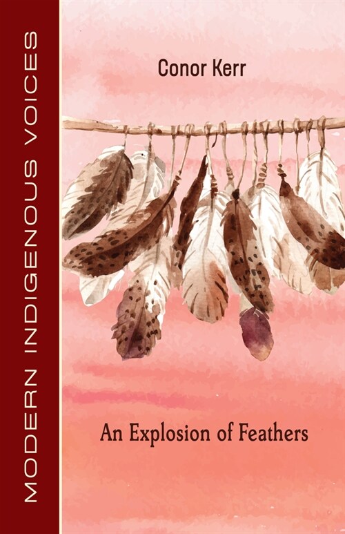 An Explosion of Feathers (Paperback)
