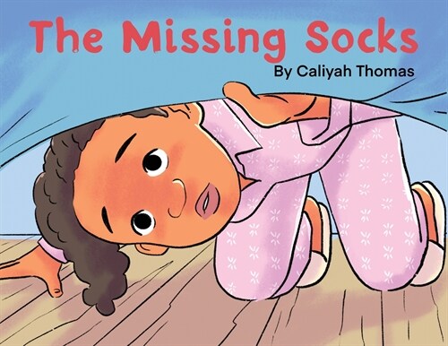 The Missing Socks (Paperback)