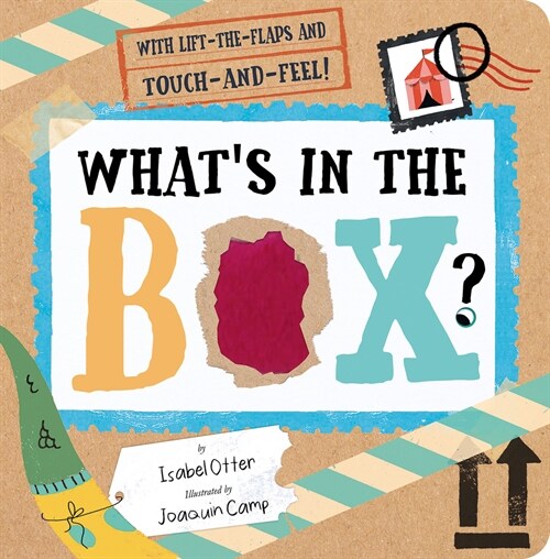 Whats in the Box? (Board Books)