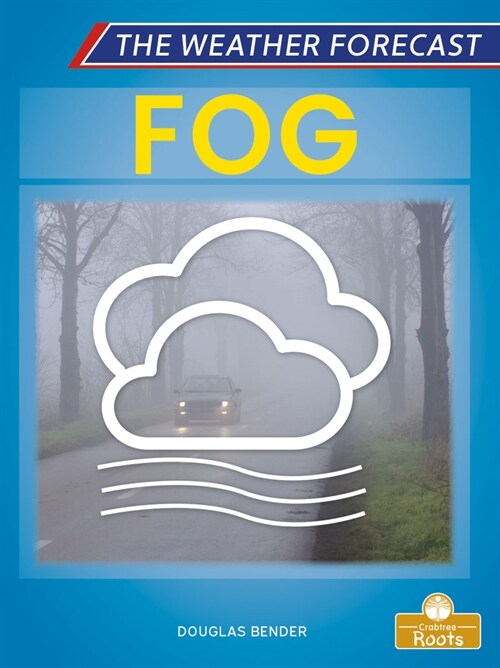 Fog (Paperback)