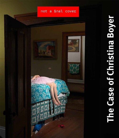 The Verdict: The Christina Boyer Case (Hardcover)