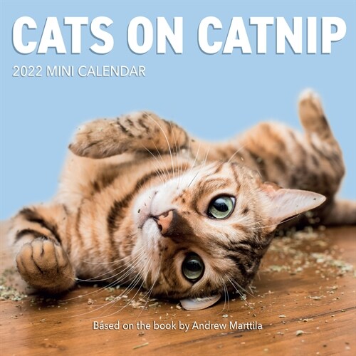 Cats on Catnip Mini Wall Calendar 2022: Cats on Catnip Mini (Mini)