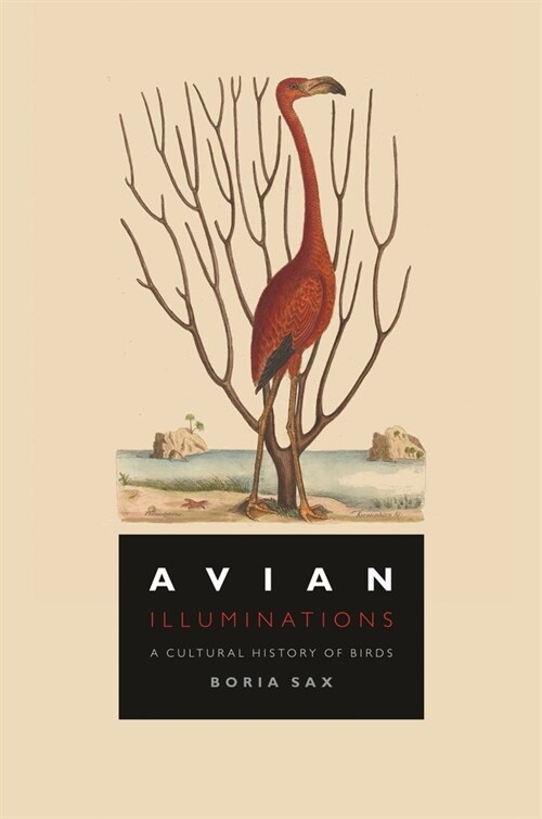 Avian Illuminations : A Cultural History of Birds (Hardcover)