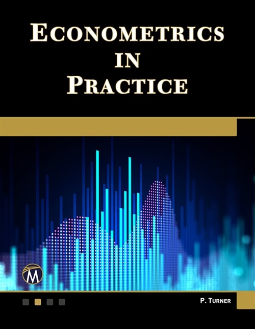 Econometrics in Practice (Hardcover)