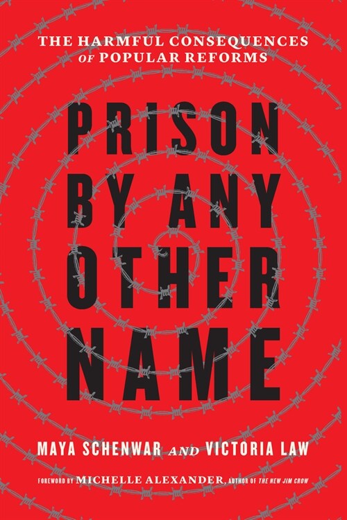 Prison by Any Other Name : The Harmful Consequences of Popular Reforms (Paperback)