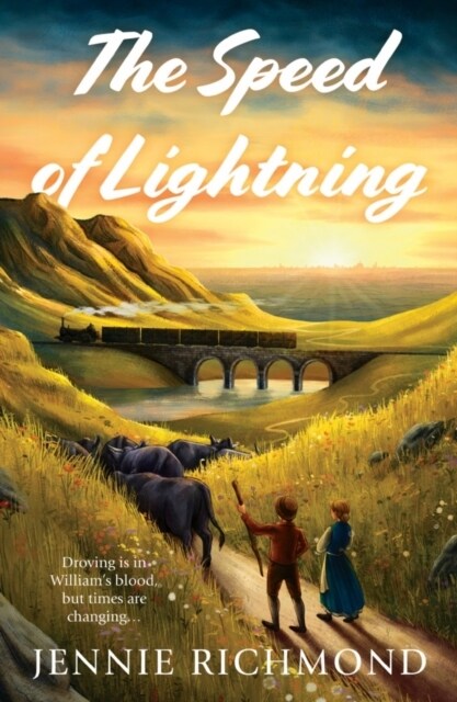 The Speed of Lightning (Paperback)