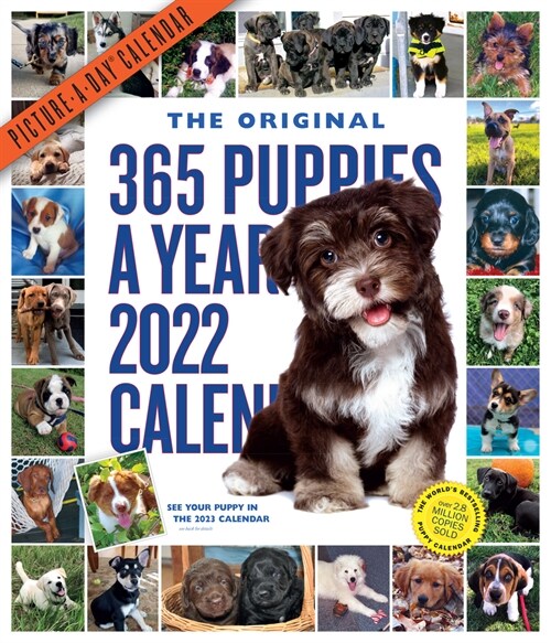 365 Puppies-A-Year Picture-A-Day Wall Calendar 2022: The Most Adorable, Irresistible Puppies. (Wall)
