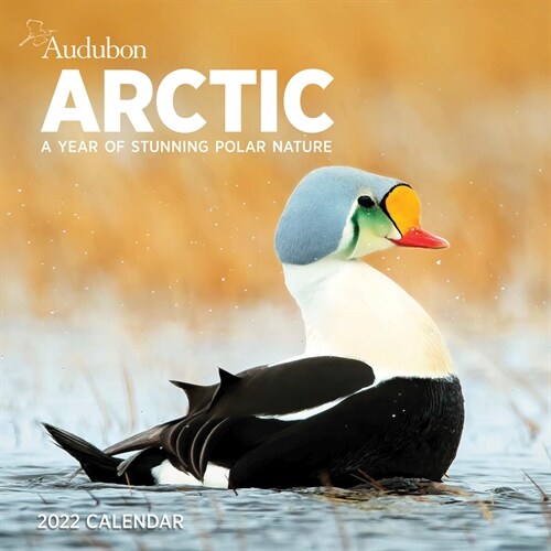 Audubon Arctic Wall Calendar 2022: A Year of Stunning Polar Nature (Wall)