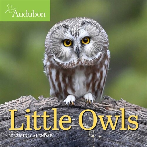 Audubon Little Owls Mini Wall Calendar 2022 (Mini)